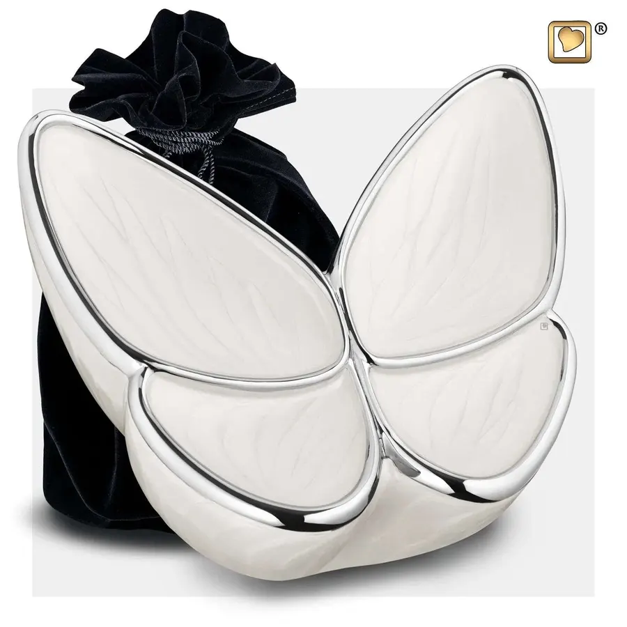 Vlinder urn wit