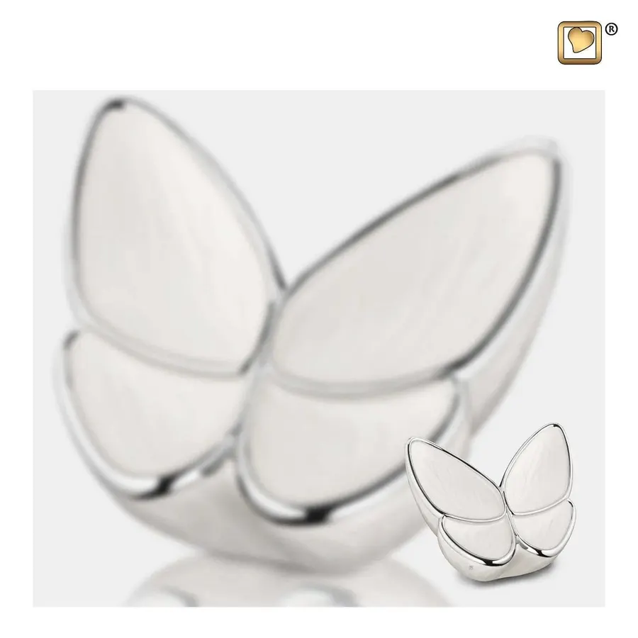 vlinder urn white