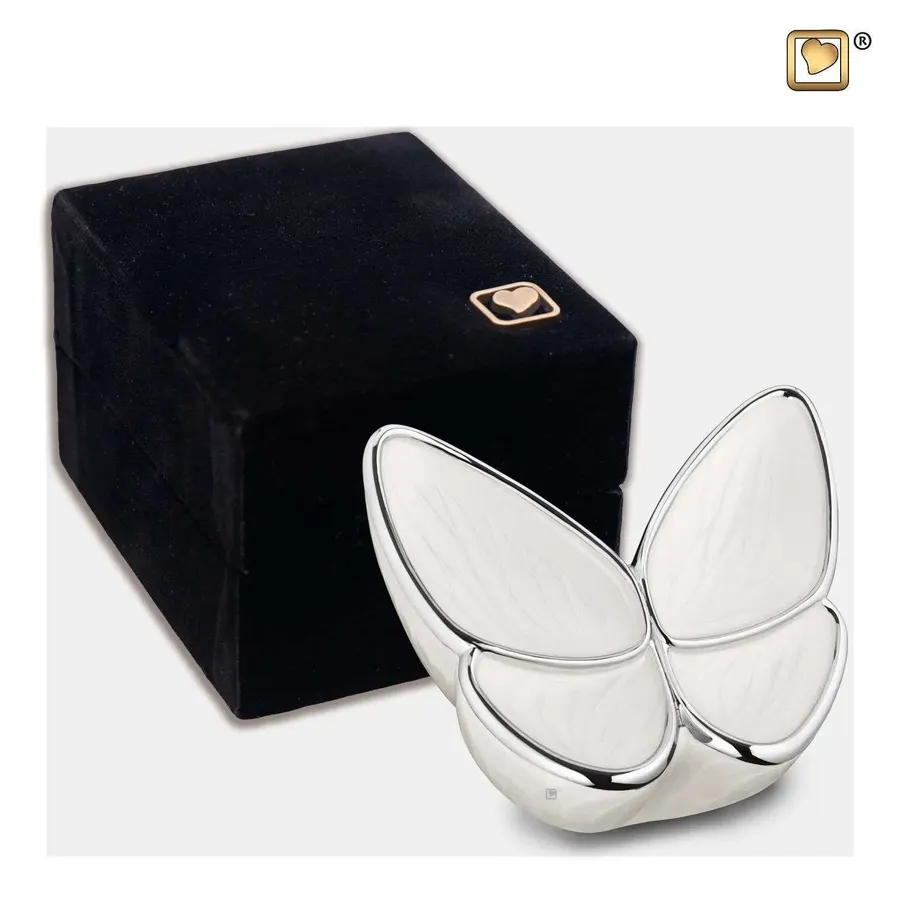 vlinders urn wit