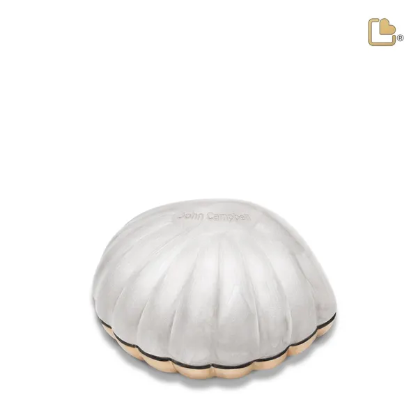 Messing urn - Shell wit - 0,07 Liter