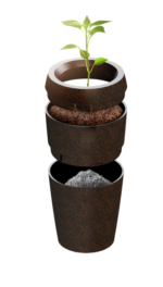 biologische urn Evertree begraafurn