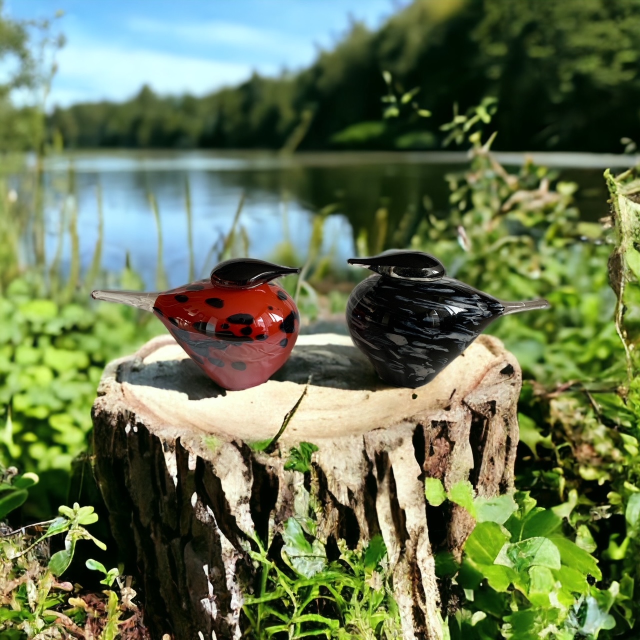 Glazen urn - As-vogels groot set 1 Glazen urn - As-vogels groot set 1
