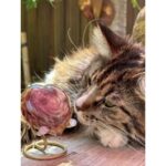 Glazen urn - Pebble heart special edition taupe roze bruin - 0,02 Liter