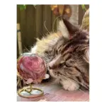 Glazen urn - Pebble heart special edition taupe roze bruin - 0,02 Liter
