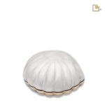 Messing urn - Shell wit - 0,07 Liter