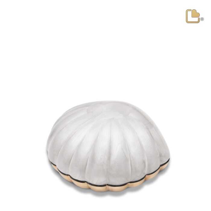 Messing urn - Shell wit - 0,07 Liter