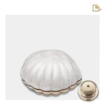 Messing urn - Shell wit - 0,07 Liter