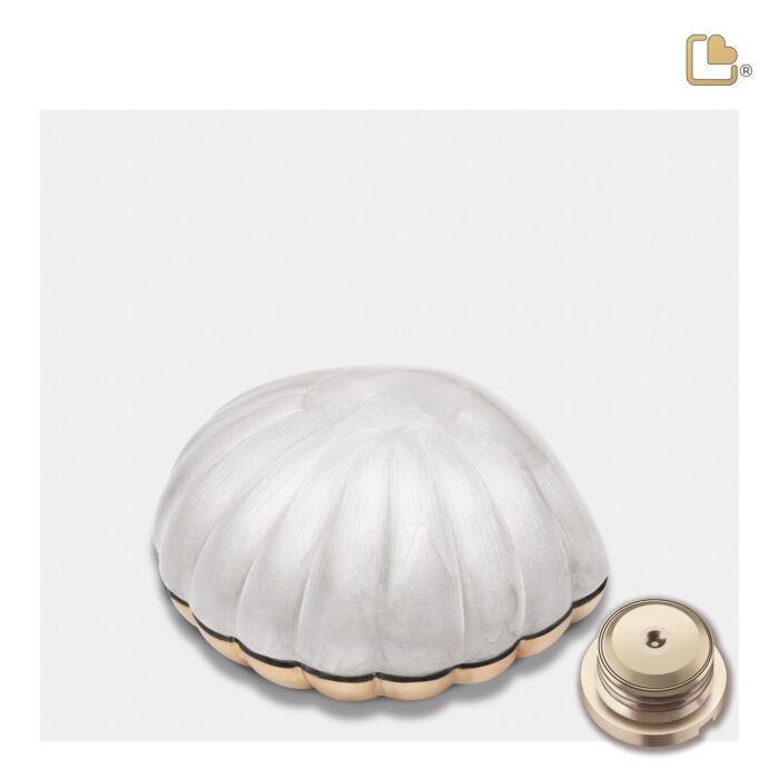 Messing urn - Shell wit - 0,07 Liter