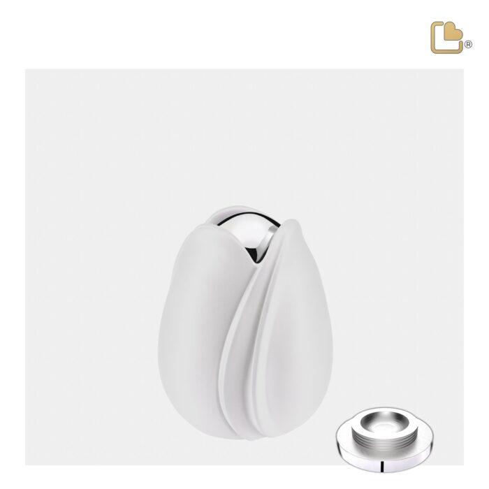Metalen urn - Tulp wit - 0,11 Liter