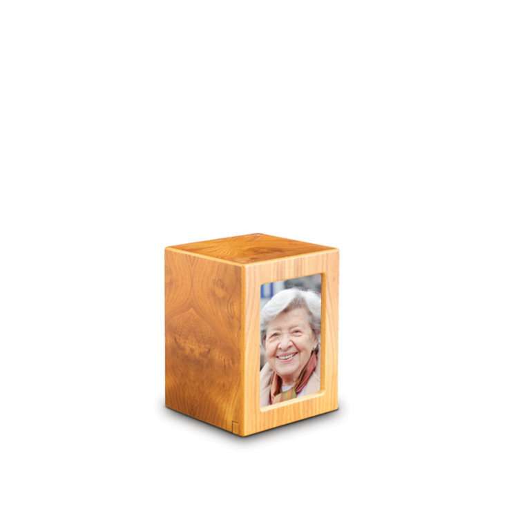 asurn van hout